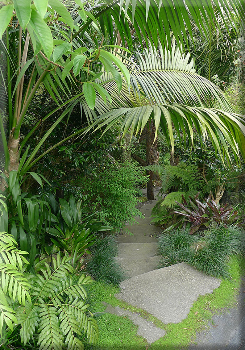 Titirangi garden bush path
